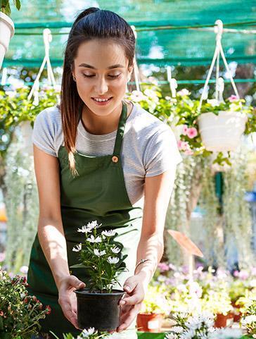 Gardening 2 WordPress Theme 31